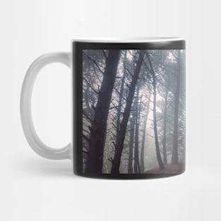 Killiney Hill Mug